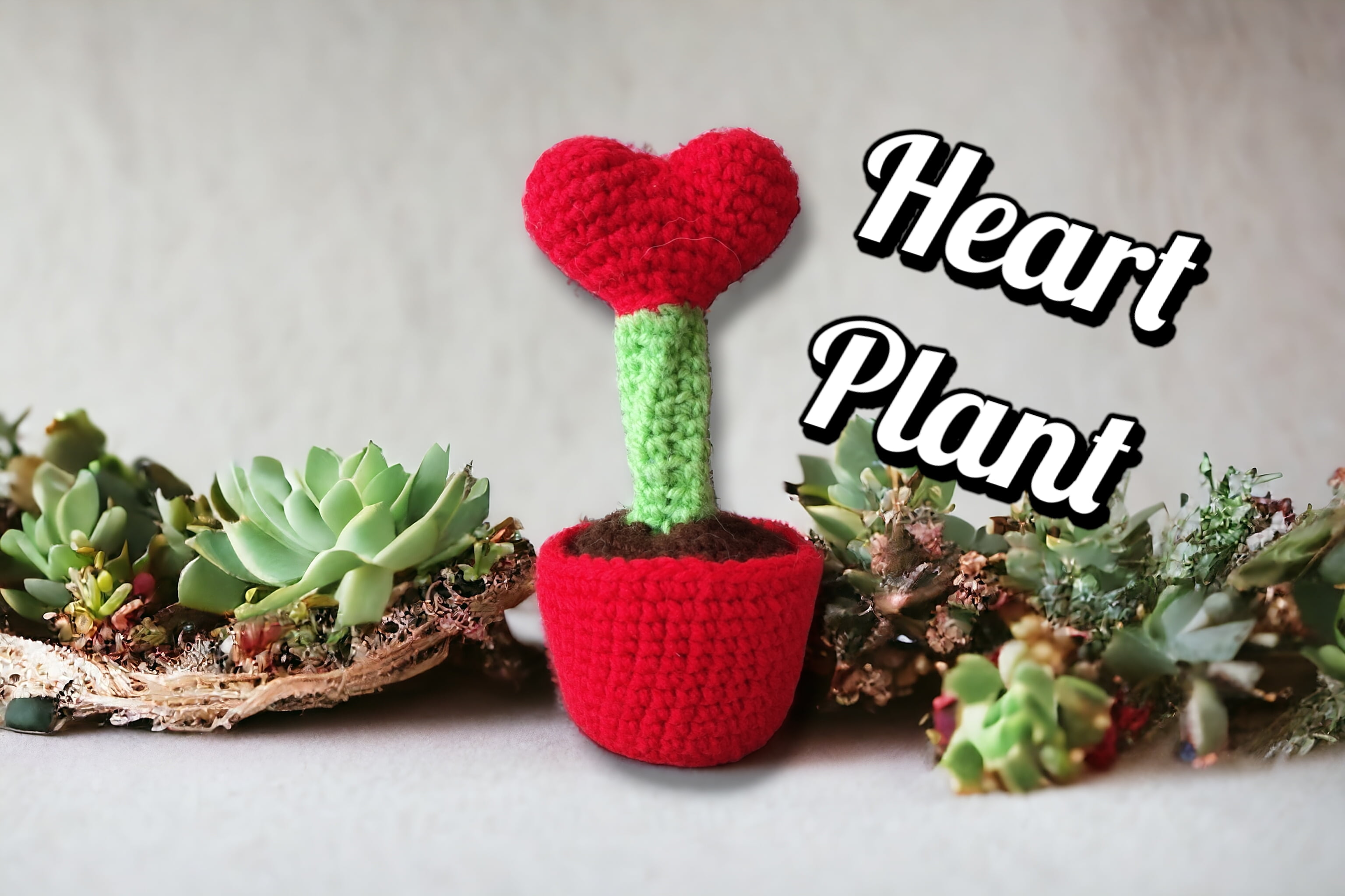 How to Make a Heart Plant with a Removable Pot